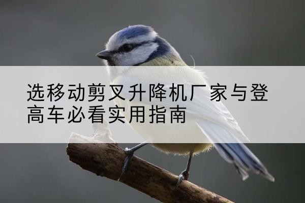 通海电动升降机厂家-选移动剪叉升降机厂家与登高车必看实用指南