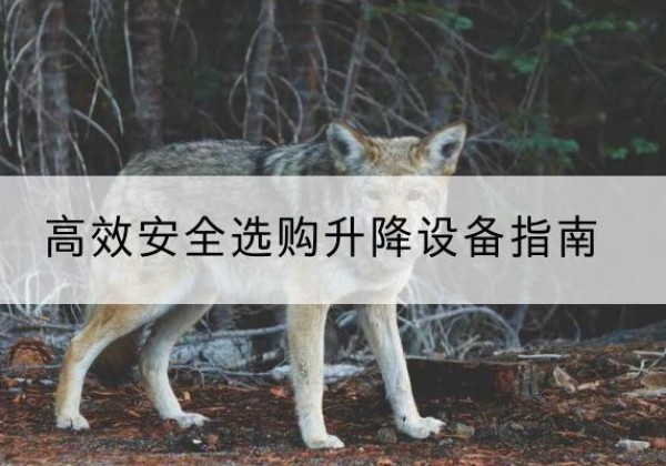 通海升降货梯厂家推荐-*安全选购升降设备指南